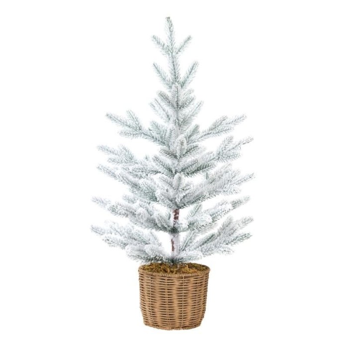 PINETTO DOUGLAS INNEVATO C CES